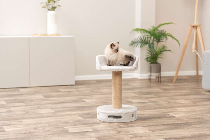 TRIXIE Kratzbaum Dalia